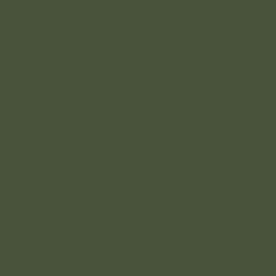 Olive Green - RAL 6003