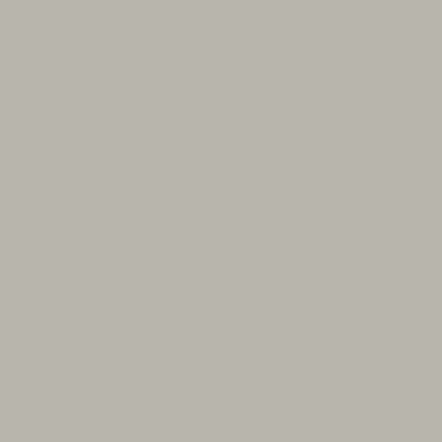 Silk Grey - RAL 7044 Silk Grey - RAL 7044